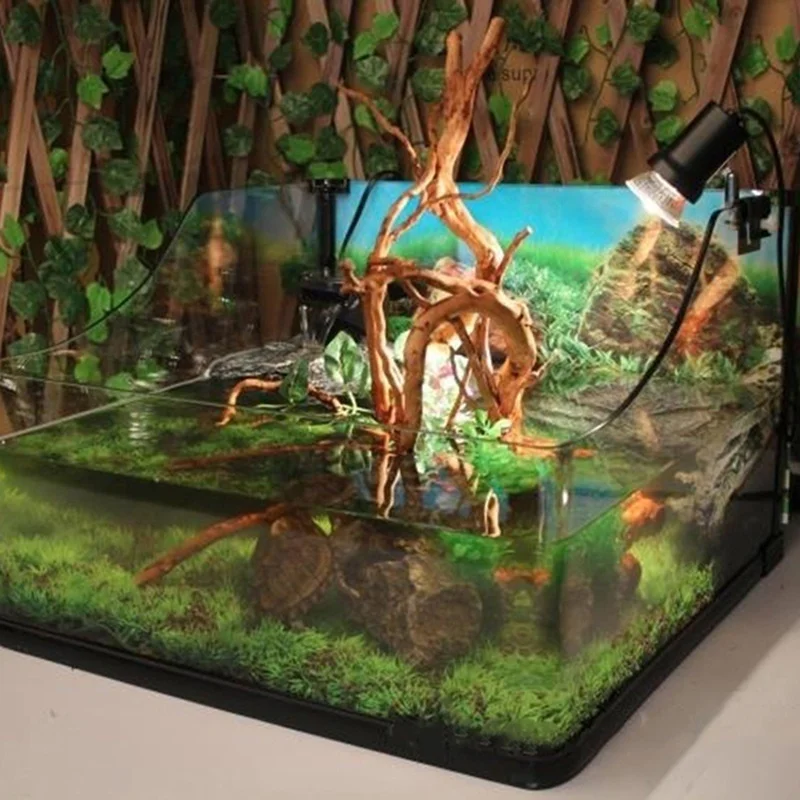 Planted Aquarium Making - Natuurlijke Boomstam Drijfhout Aquarium Aquarium Reptiel