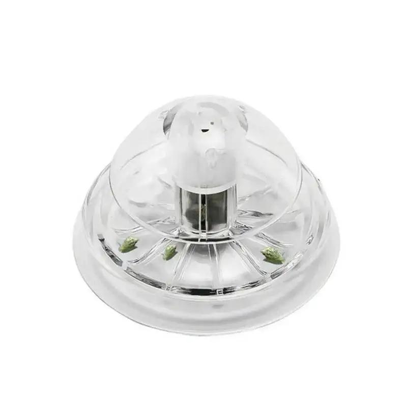 2026 Nieuwe 6/8CM Transparante - Aquarium Planting Ideas recensie en prijs
