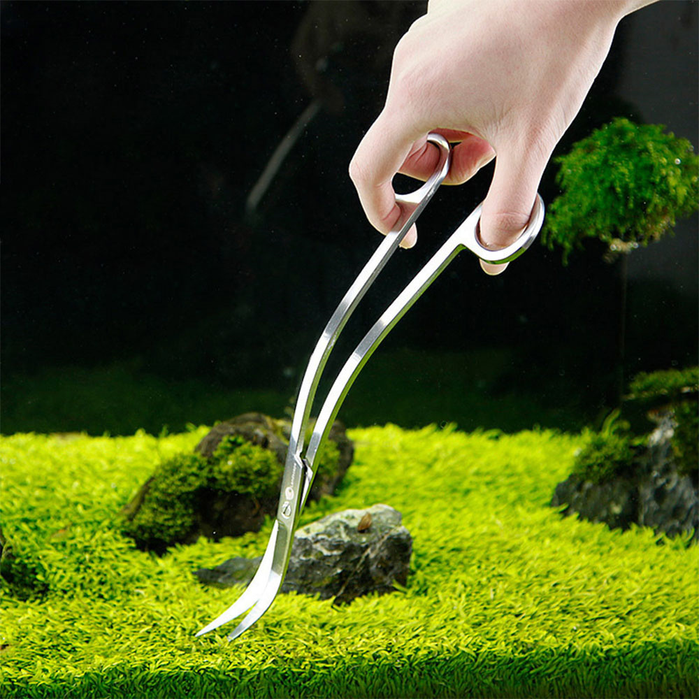 Aquarium Accessoires Hard Roes - Planted Aquarium Accessories recensie en prijs