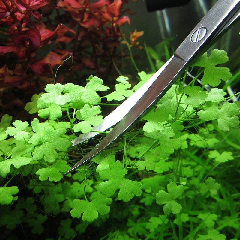 Aquarium Accessoires Hard Roes - Planted Aquarium Accessories recensie en prijs