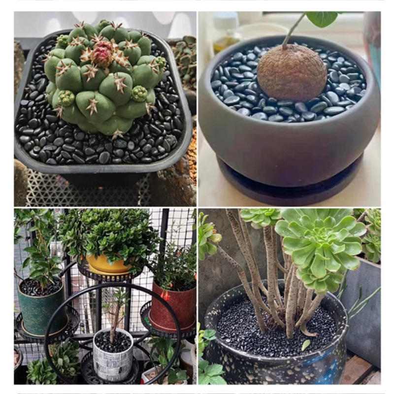 Wit & Zwart Gepolijste Riviers - Aquarium Planting Ideas recensie en prijs
