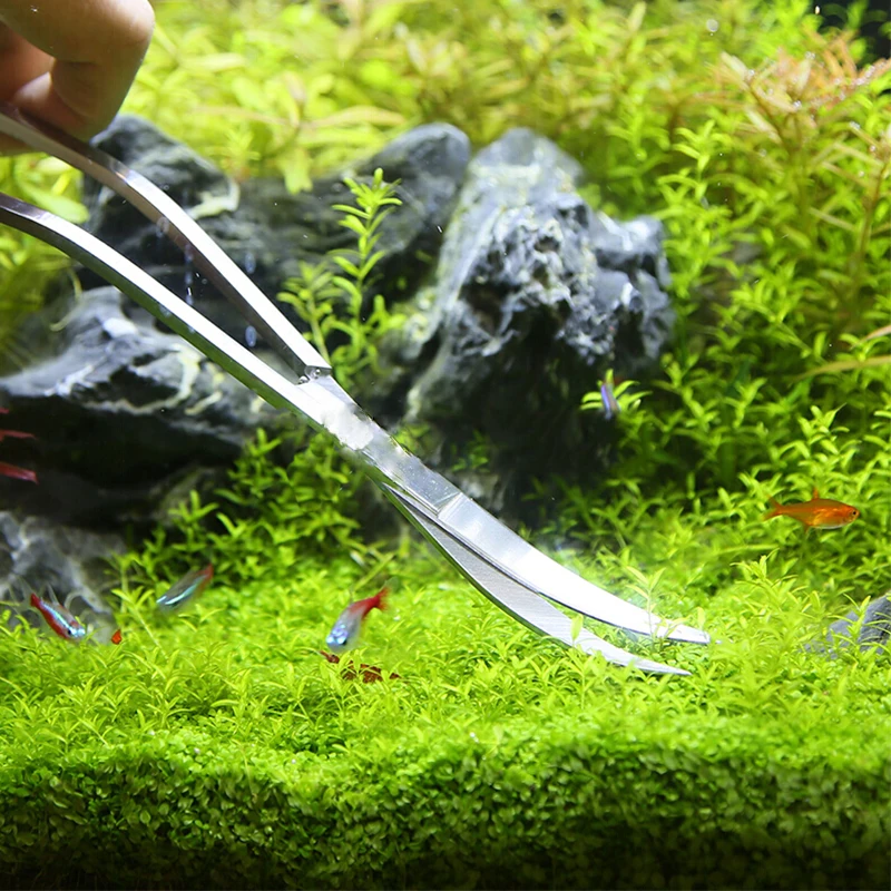 Aquarium Schaar Gereedschap Aq - Planted Aquarium Accessories recensie en prijs