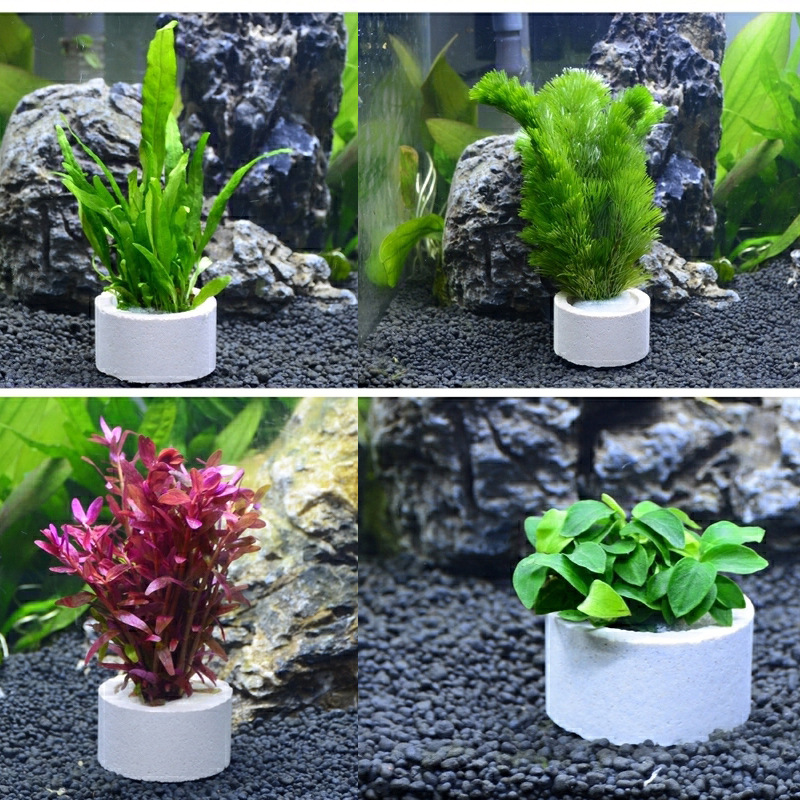 Aquariumdecoratie keramische r - Planted Aquarium Accessories recensie en prijs