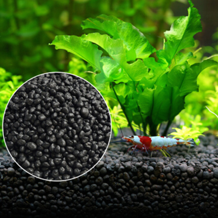Aquarium Plant Zaden Bodem Fis - Aquarium Plant Gravel recensie en prijs
