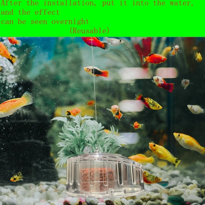 Aquariumplant Slak Trap Vanger - Planted Aquarium Accessories recensie en prijs