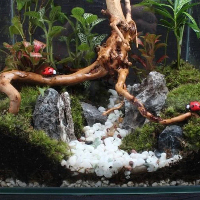 Natuurlijke Boomstam Drijfhout - Planted Aquarium Making recensie en prijs