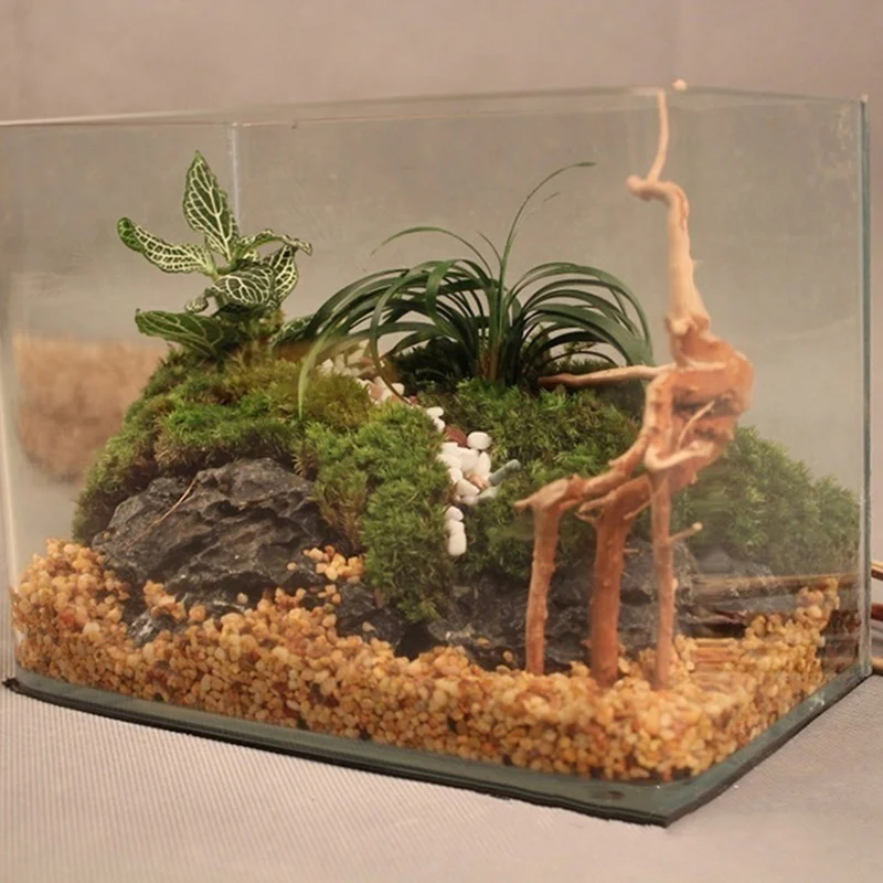 Natuurlijke Boomstam Drijfhout - Planted Aquarium Making recensie en prijs