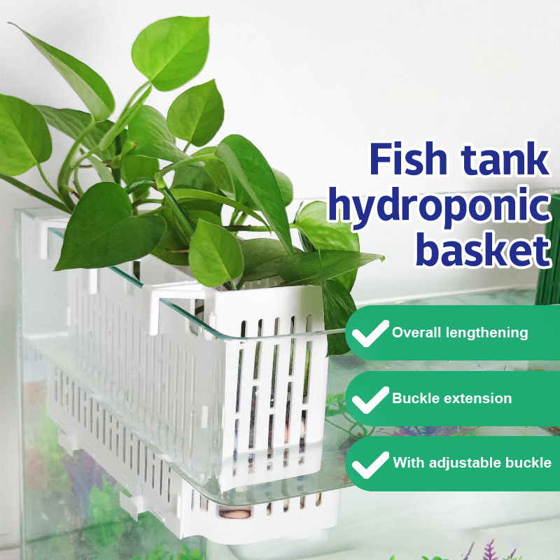 【F】Hangende plantenbak voor aq - Aquarium Planting Ideas recensie en prijs