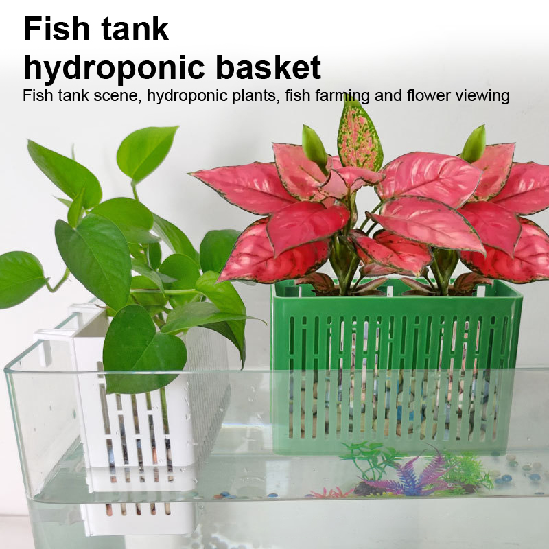 【F】Hangende plantenbak voor aq - Aquarium Planting Ideas recensie en prijs
